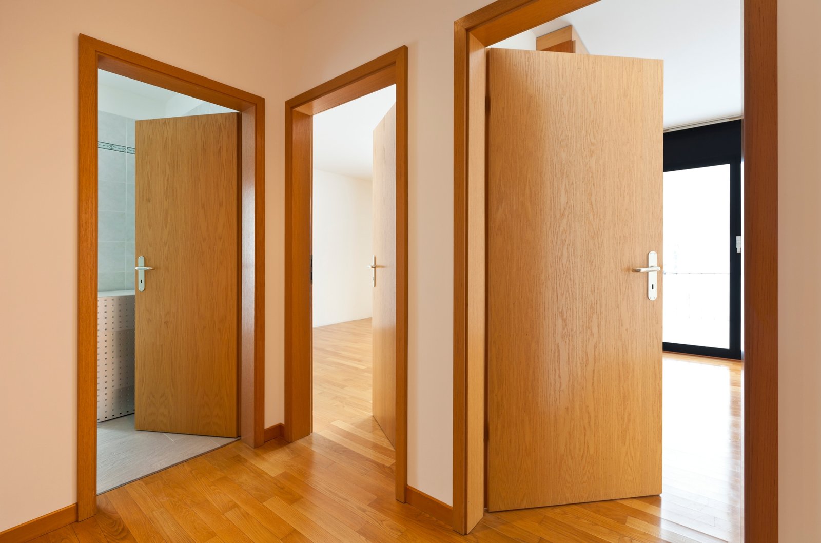 Modern Door