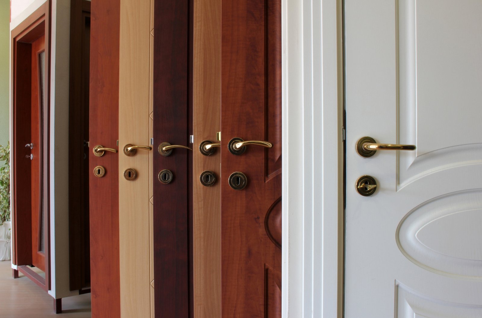 Luxury Door
