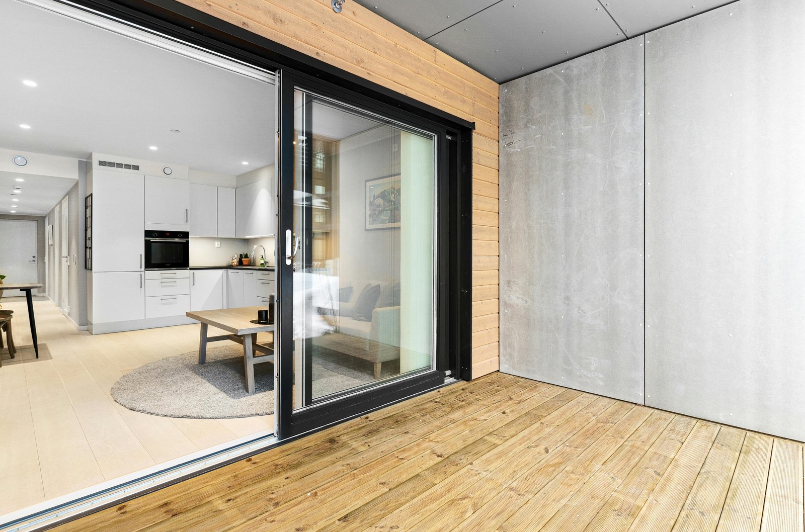 Modern Door
