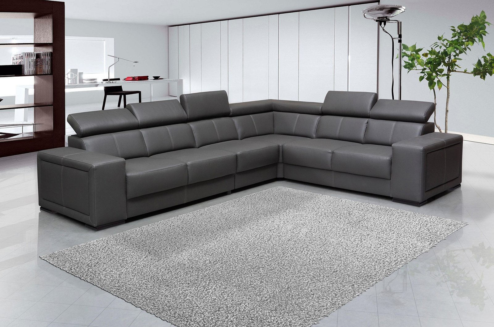 Luxury Living Room
